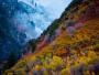 Autumn workshop 2025